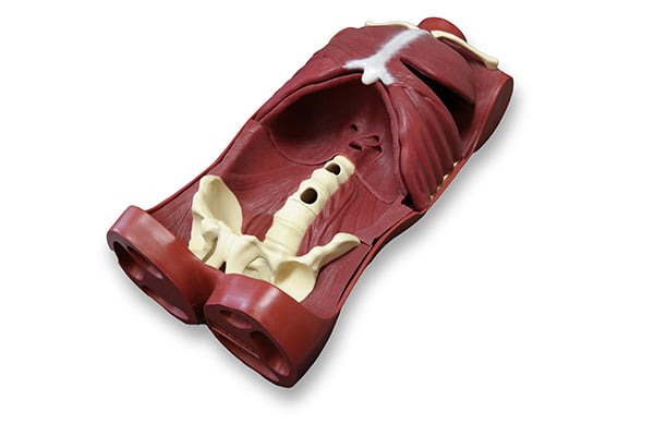 Open Surgical Simulation System